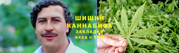 ПСИЛОЦИБИНОВЫЕ ГРИБЫ Белоозёрский