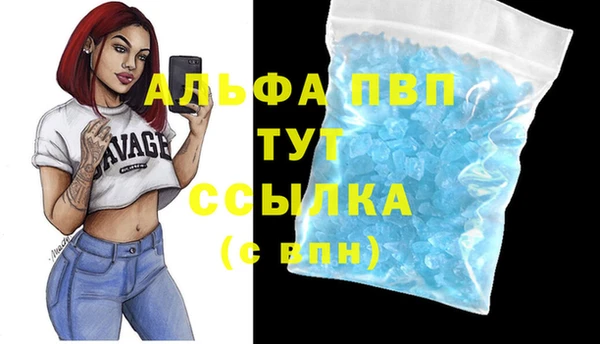 ПСИЛОЦИБИНОВЫЕ ГРИБЫ Белоозёрский