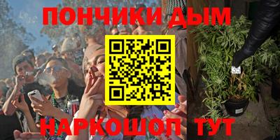 индика Кандалакша