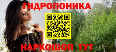 apvp Камышлов