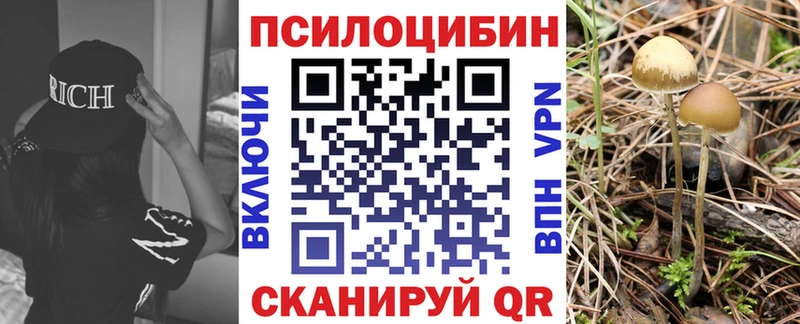 Галлюциногенные грибы мухоморы  Кушва 