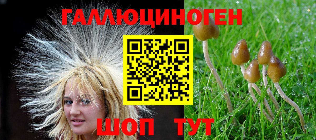 Псилоцибиновые грибы мухоморы Кушва