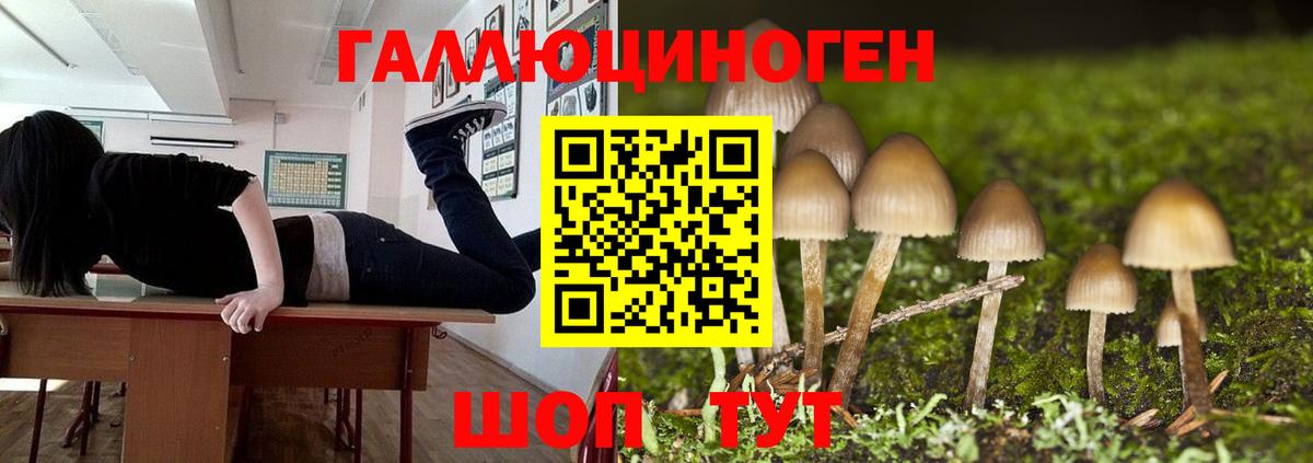 Кушва  Псилоцибиновые грибы мицелий  Вход с VPN  Псилоцибиновые грибы прущие грибы 